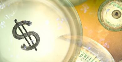 Si me estafan por bizum puedo recuperar el dinero